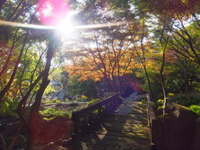 DSCF0182.JPG
