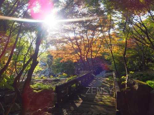 DSCF0182.JPG