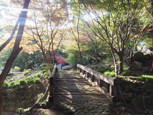 DSCF0184.JPG