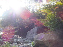 DSCF0186.JPG