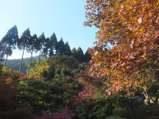 DSCF0188.JPG