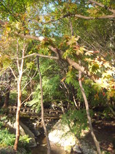 DSCF0189.JPG