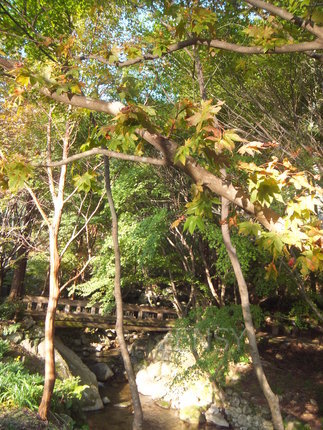 DSCF0189.JPG