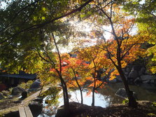 DSCF0191.JPG