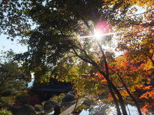 DSCF0193.JPG