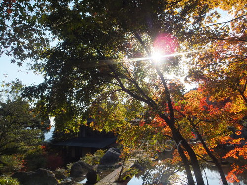 DSCF0193.JPG