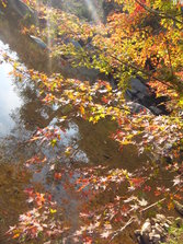 DSCF0194.JPG