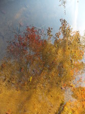 DSCF0195.JPG