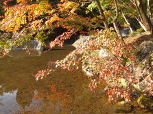 DSCF0196.JPG
