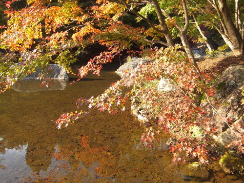 DSCF0196.JPG