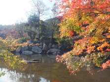 DSCF0197.JPG