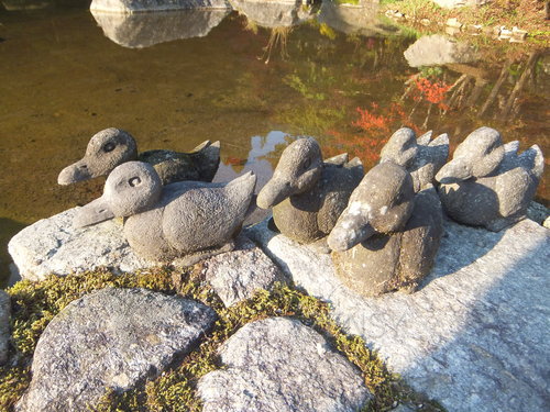 DSCF0198.JPG