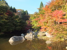 DSCF0199.JPG