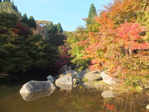 DSCF0199.JPG