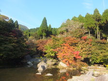 DSCF0200.JPG