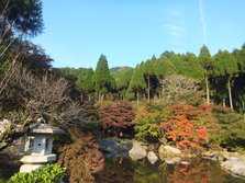 DSCF0201.JPG