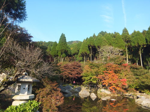 DSCF0201.JPG