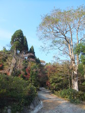 DSCF0202.JPG