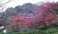 101116_1647~01.jpg