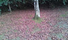 101116_1648~01.jpg