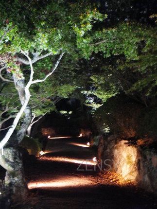 御船山楽園4.jpg