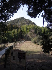 takeoshi 007.jpg