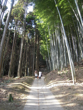 takeoshi 009.jpg