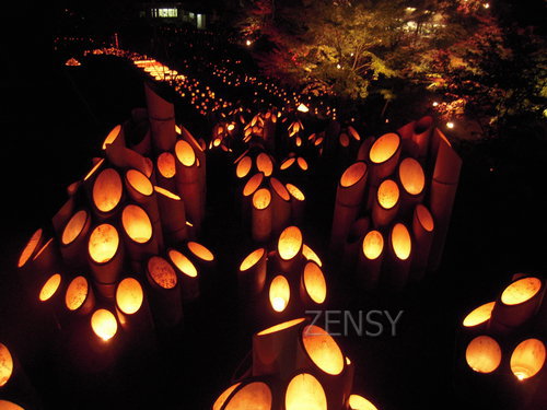 takeakari 010.jpg
