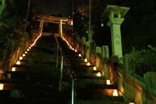 wantou 003.jpg