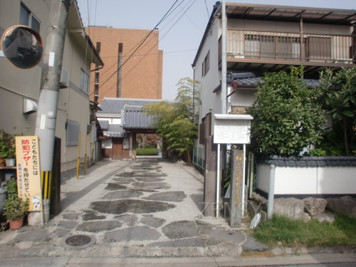 CIMG0519.JPG
