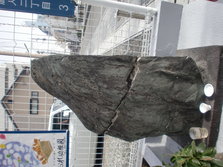 CIMG0520.JPG