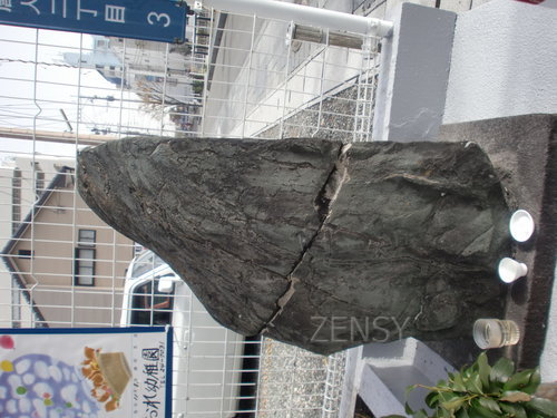 CIMG0520.JPG