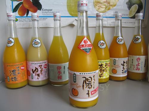 クレメンティン (1).JPG