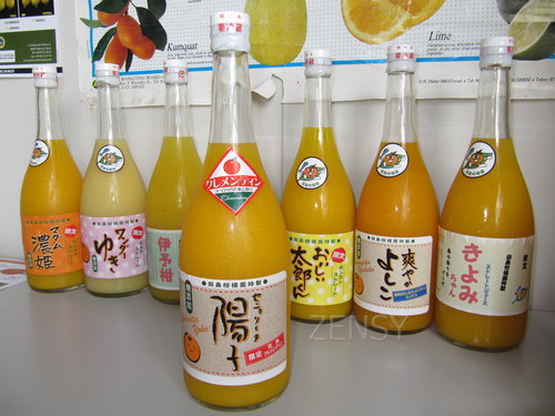 クレメンティン (4).JPG
