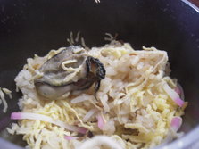 DSCN4706.JPG