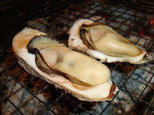 竹崎カキ-2.JPG