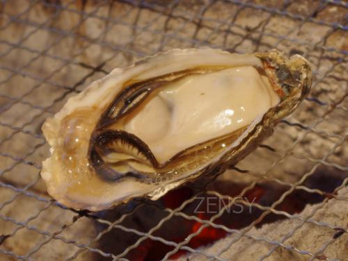 竹崎カキ-4.jpg