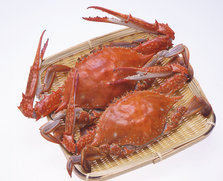 竹崎カニ（茹でカニ）-1.jpg
