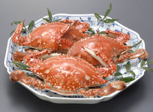 竹崎カニ（茹でカニ）-2.jpeg