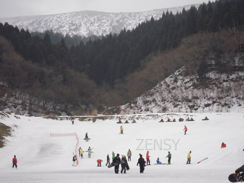DSCN4679.JPG