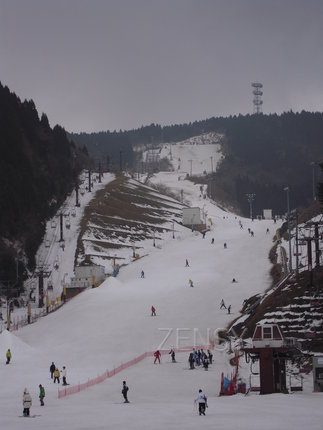 DSCN4680.JPG