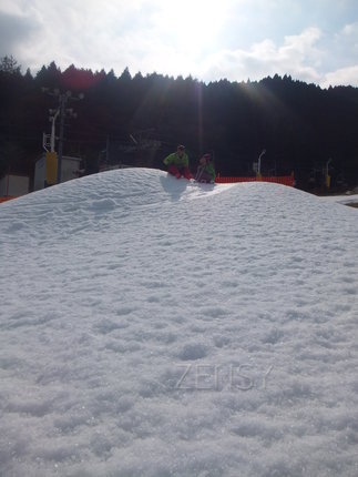 DSCF0529.JPG
