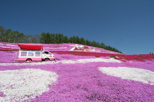 东藻琴芝樱公园０４.JPG