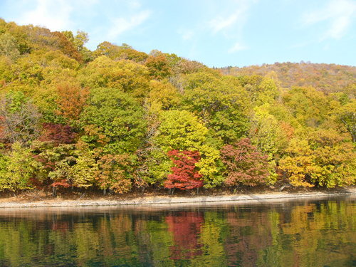 P1000790.JPG