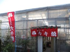 花房里的牡蛎烧烤5