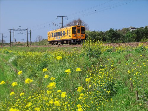 Hisatsu Orange Railway [Nano-hana2].jpg