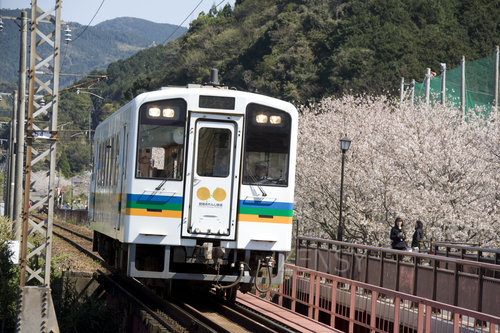 Hisatsu Orange Railway［桜sakura＆rail］.jpg