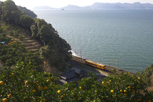 肥薩おれんじ鉄道【田浦付近】：海とおれんじちゃん.jpg