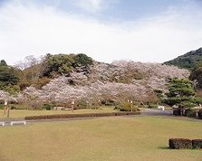 西溪公园&中央公园&岩屋山溪公园