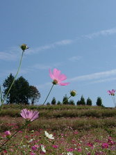 东山公园